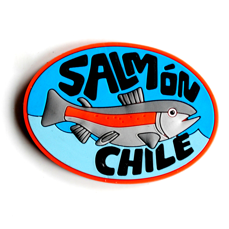 Chile Souvenir Fridge Magnets Customized(RC-TS40)
